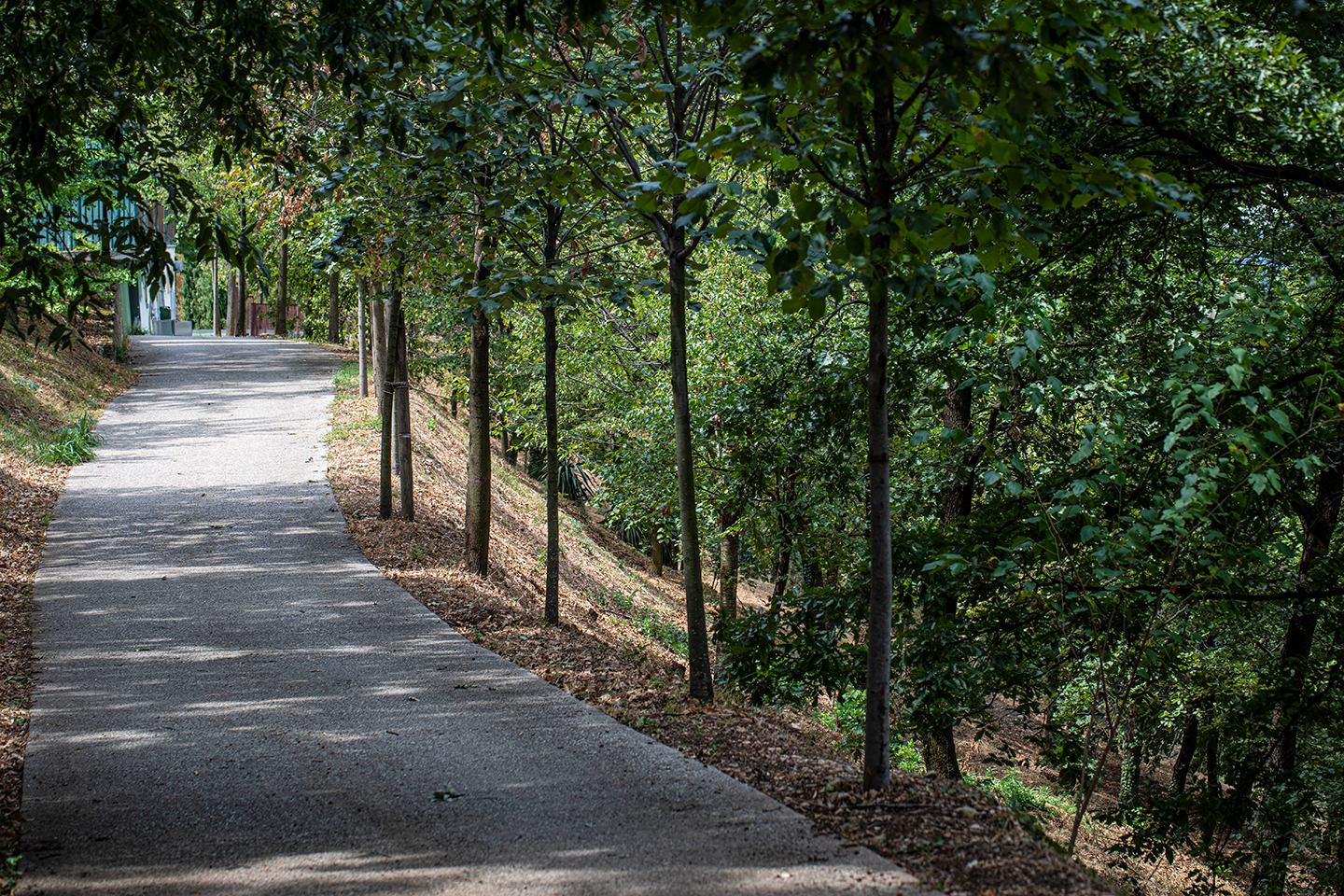 AZIENDA Agricola ROCCOLO CALLISTO — foto 2