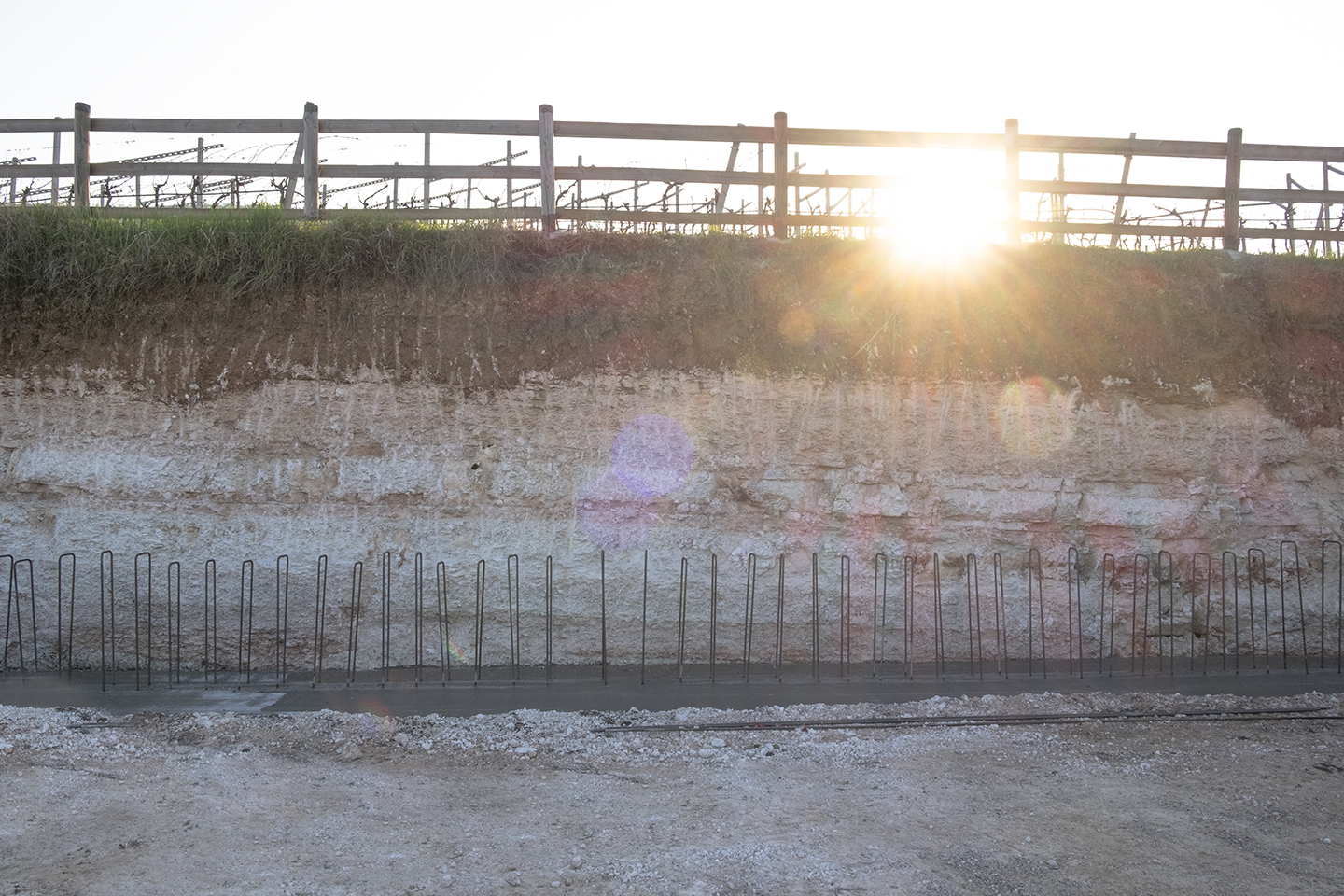 AZIENDA Agricola ROCCOLO CALLISTO — foto 5